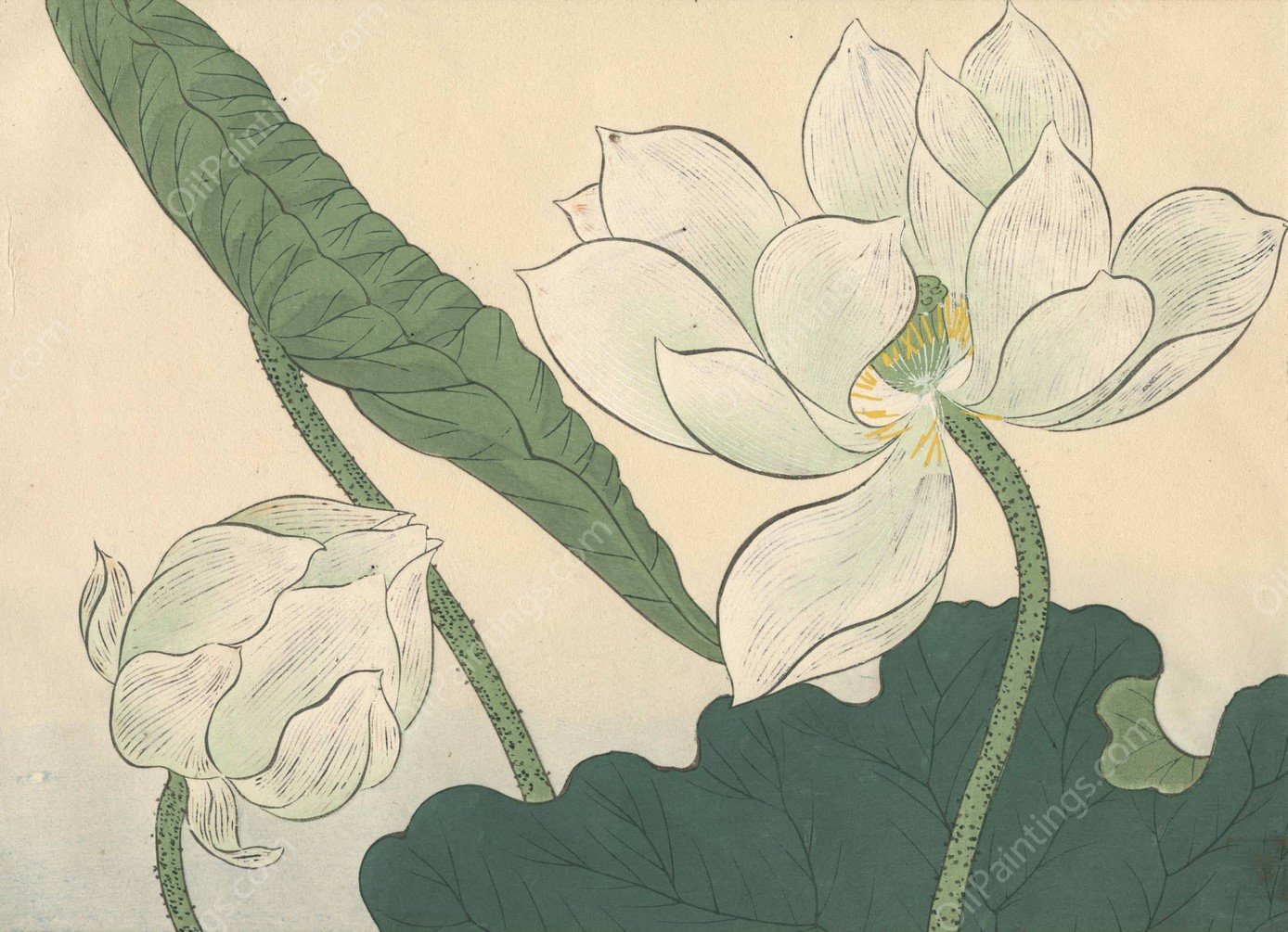 Lotus  by Sakai Hoitsu - Hand-Painted Oil Painting Reproduction