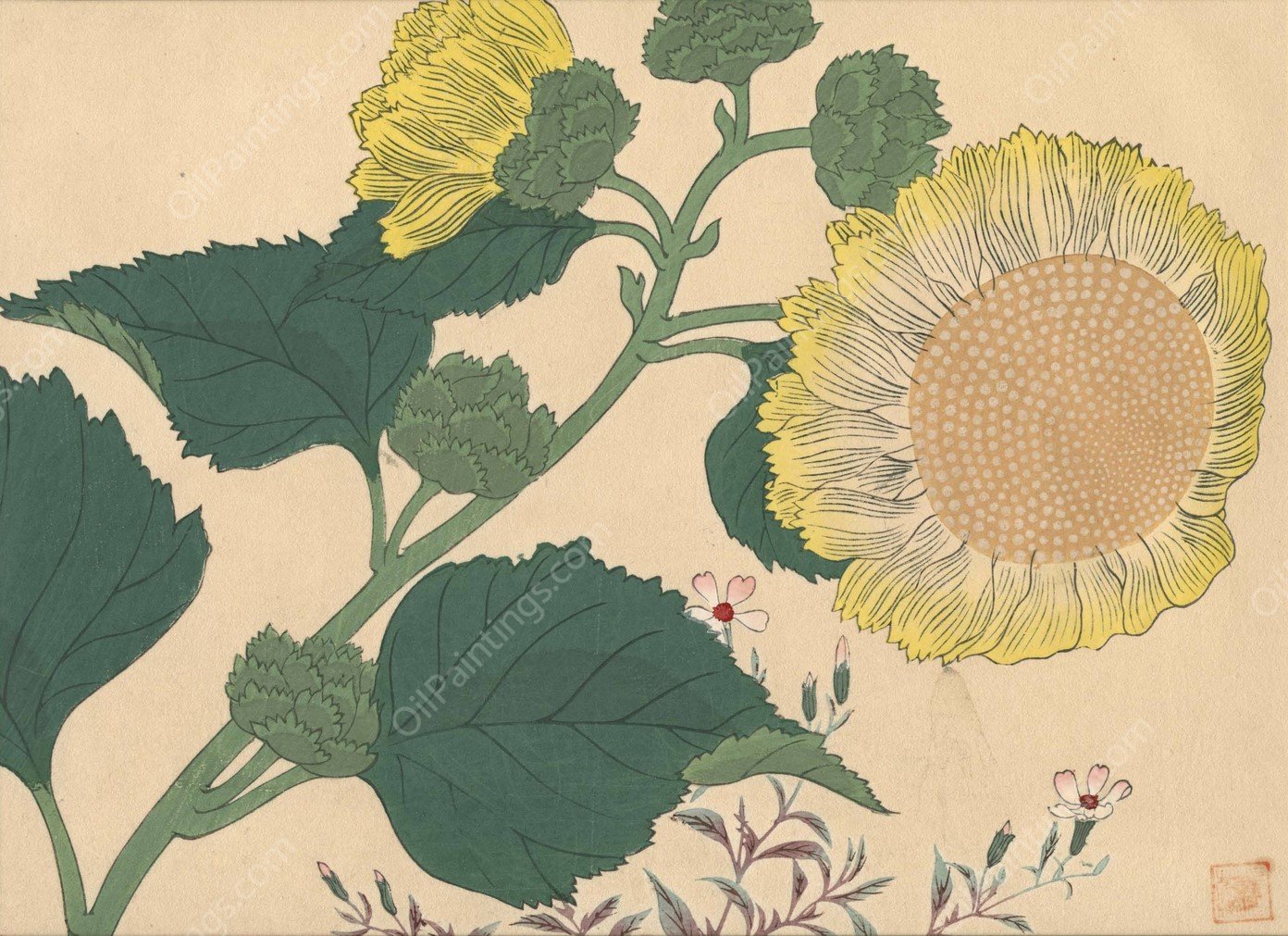 Sun flowers  by Sakai Hoitsu - Hand-Painted Oil Painting Reproduction