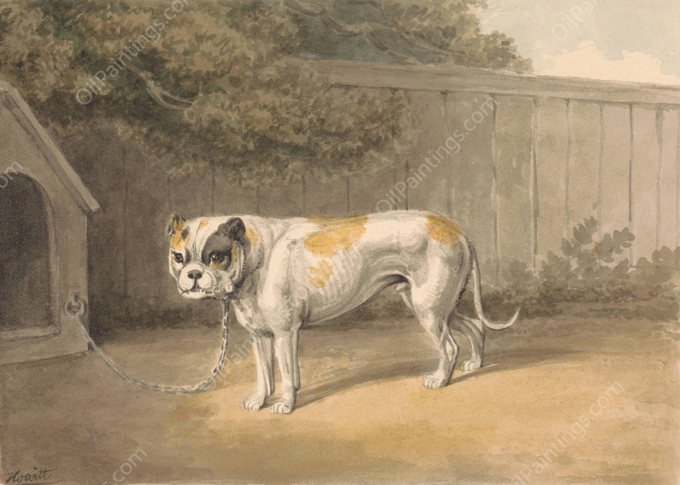 A Bulldog  by Samuel Howitt - Hand-Painted Oil Painting Reproduction