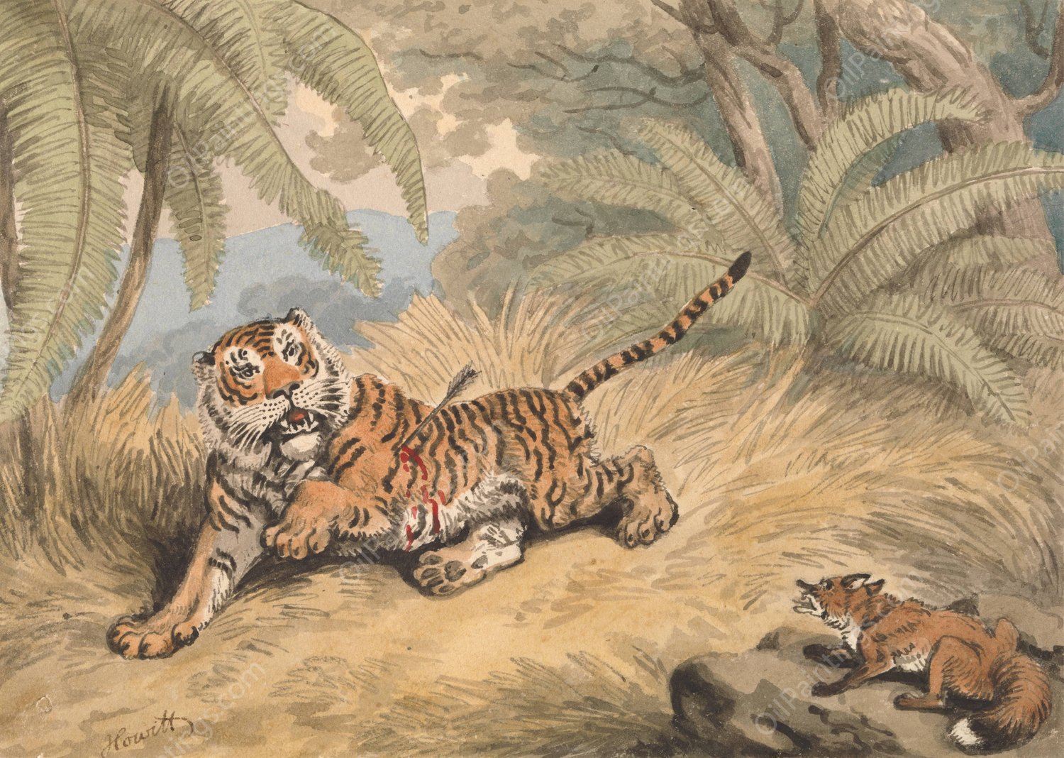 A Tiger Pierced with an Arrow by Samuel Howitt - Hand-Painted Oil Painting Reproduction