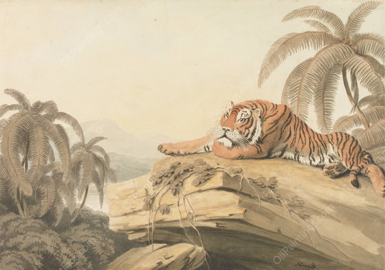 A Tiger Resting  by Samuel Howitt - Hand-Painted Oil Painting Reproduction