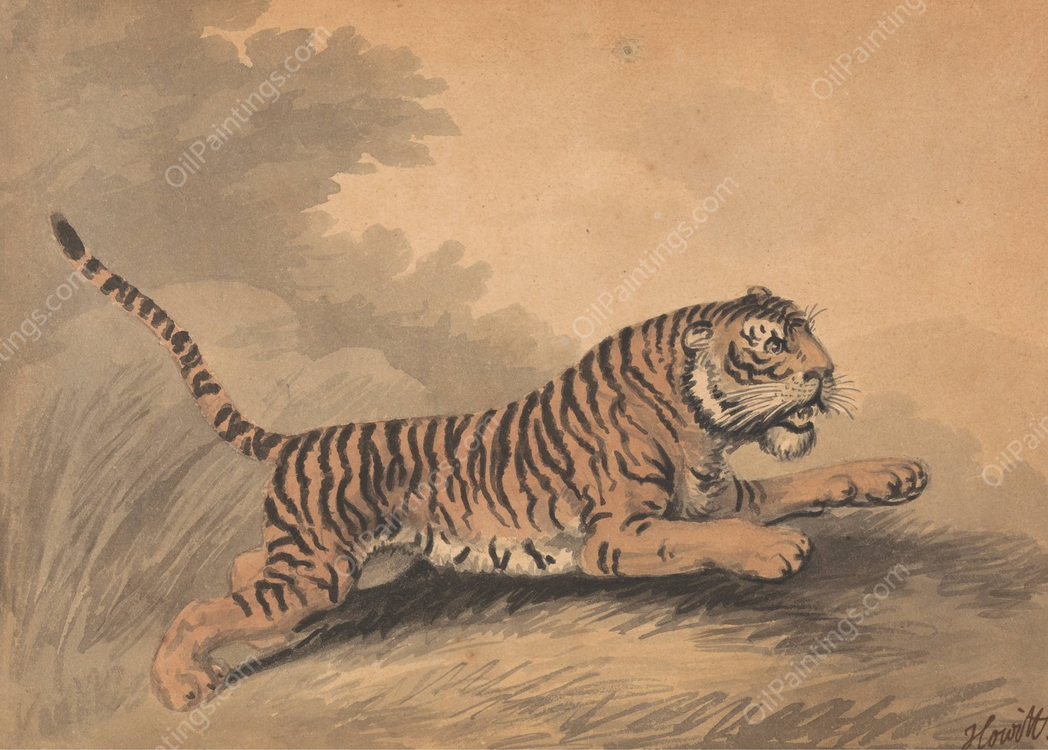 A Tigress Leaping to the Right  by Samuel Howitt - Hand-Painted Oil Painting Reproduction