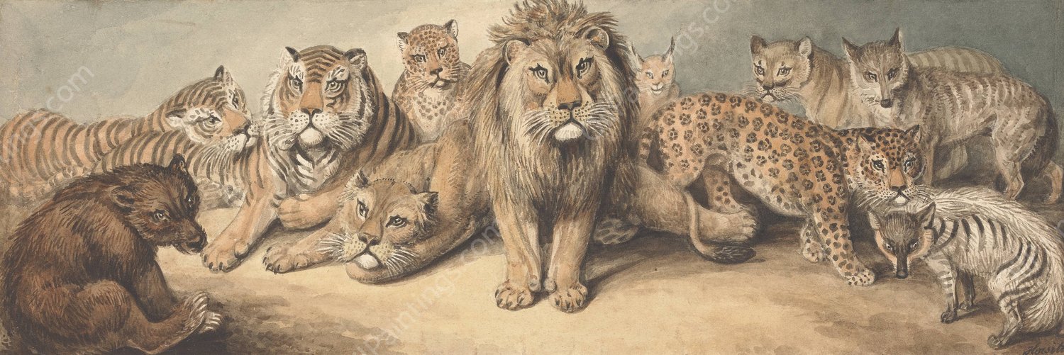 Animals of the Cat Family, with a Bear and Foxes by Samuel Howitt - Hand-Painted Oil Painting Reproduction