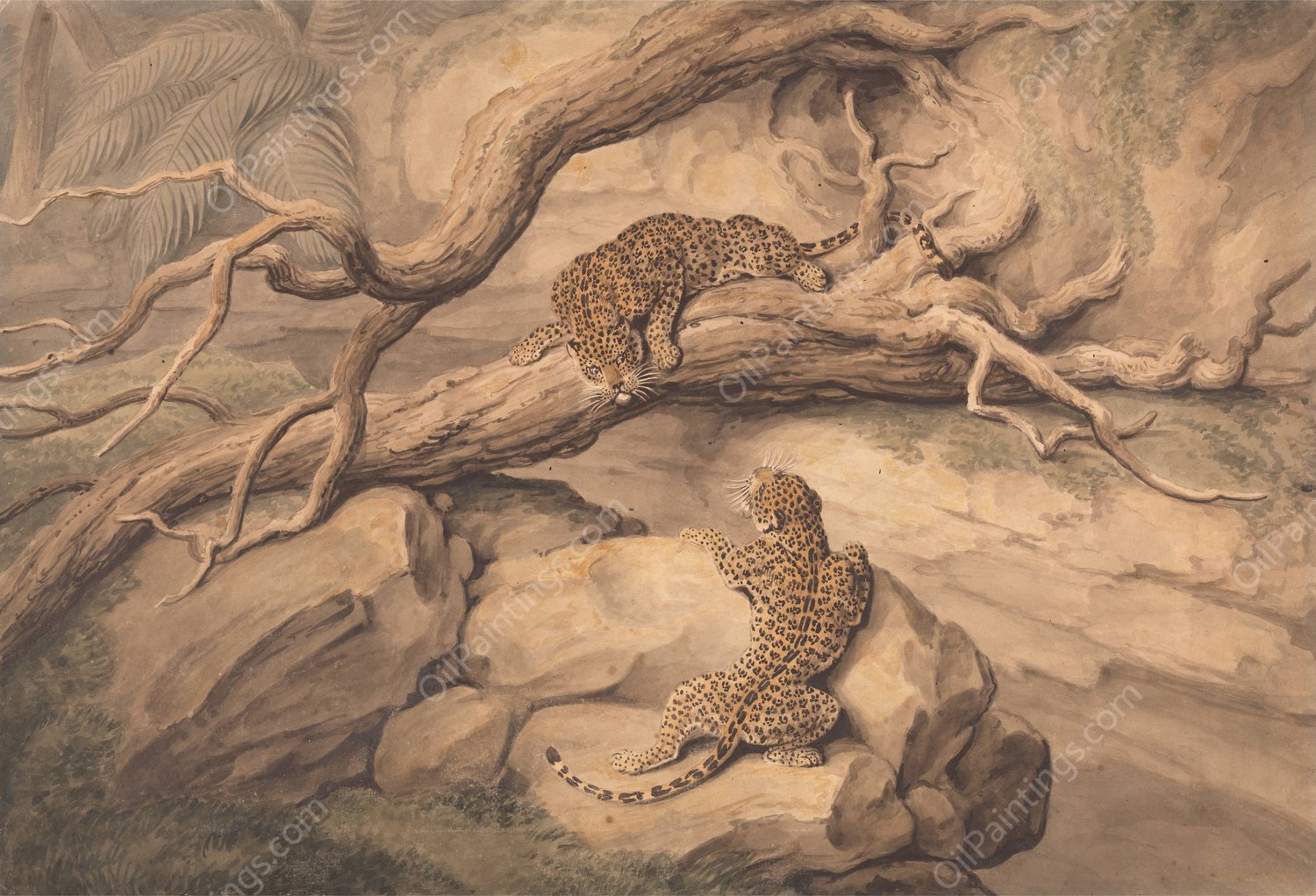 Leopards at Play Among Fallen Trees and Rocks  by Samuel Howitt - Hand-Painted Oil Painting Reproduction