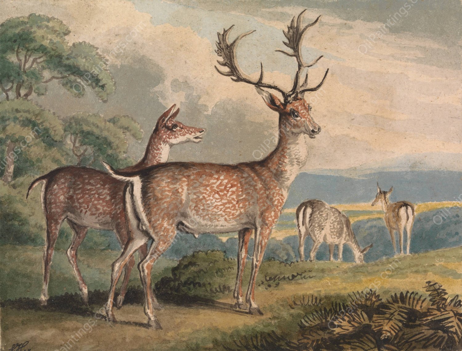 Stag, Doe and Fawns by Samuel Howitt - Hand-Painted Oil Painting Reproduction