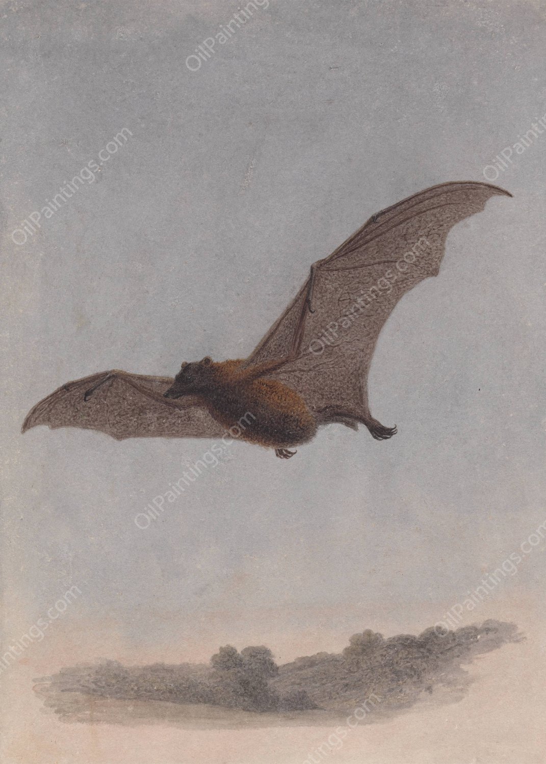 Study of a Vampire Bat by Samuel Howitt - Hand-Painted Oil Painting Reproduction