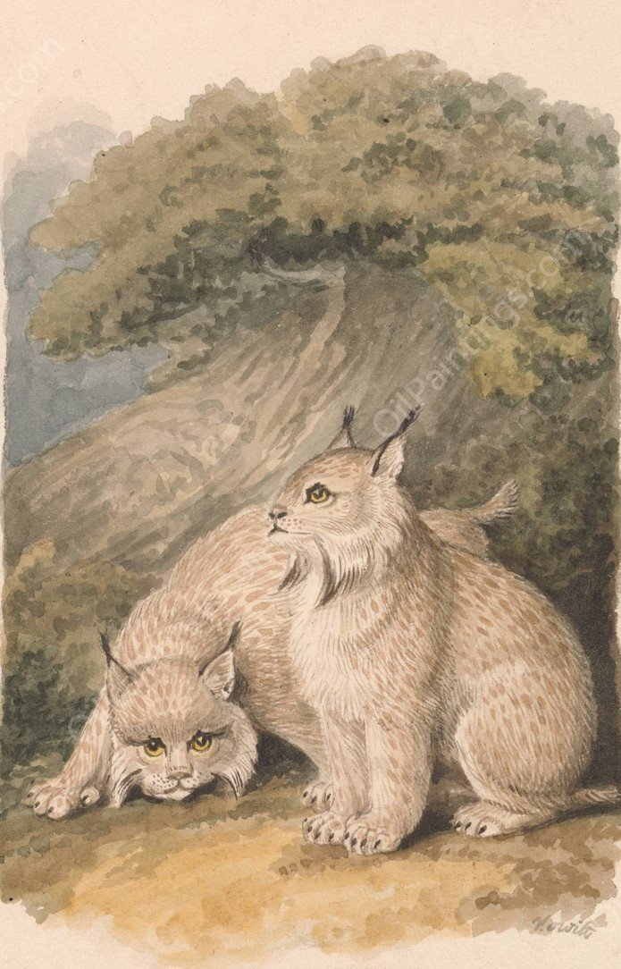 The Canada Lynx from the Life  by Samuel Howitt - Hand-Painted Oil Painting Reproduction