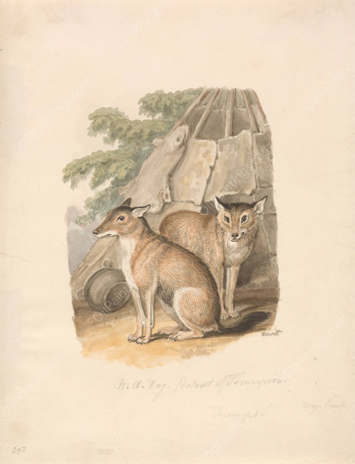 Two Huskies  by Samuel Howitt - Hand-Painted Oil Painting Reproduction