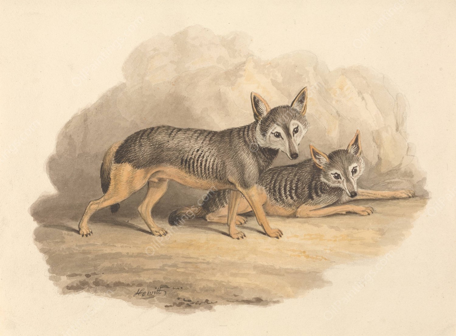 Two Hyenas  by Samuel Howitt - Hand-Painted Oil Painting Reproduction