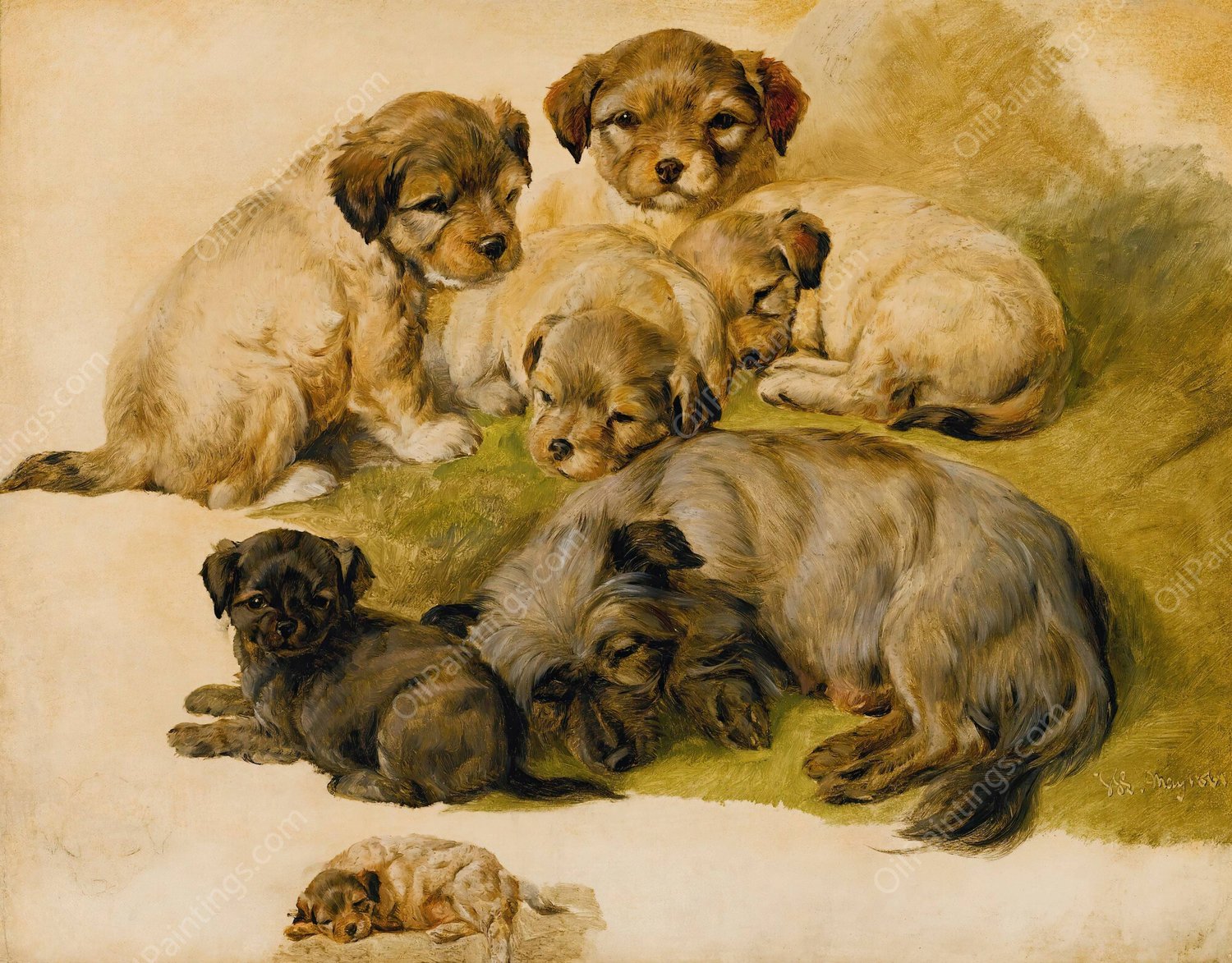 Study Of A Terrier And Puppies  by Sir Edwin Henry Landseer - Hand-Painted Oil Painting Reproduction
