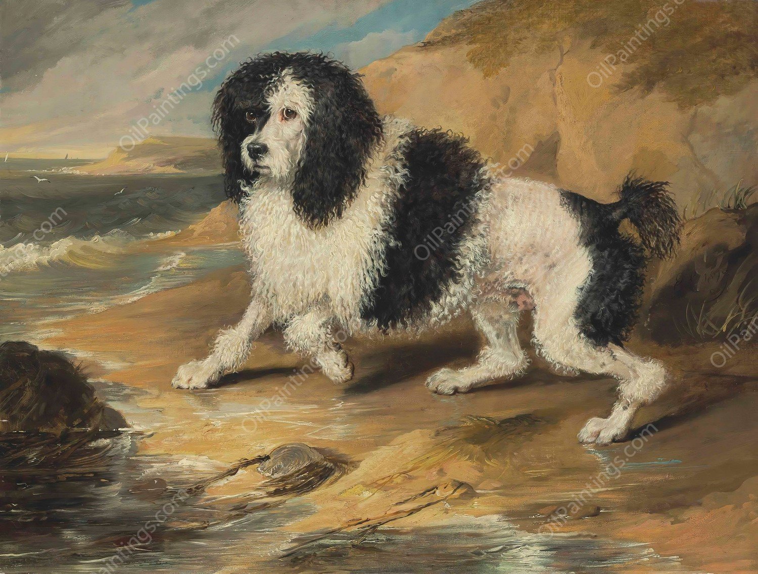Tapageur, the Poodle belonging to the Honorable Frederick Byng  by Sir Edwin Henry Landseer - Hand-Painted Oil Painting Reproduction