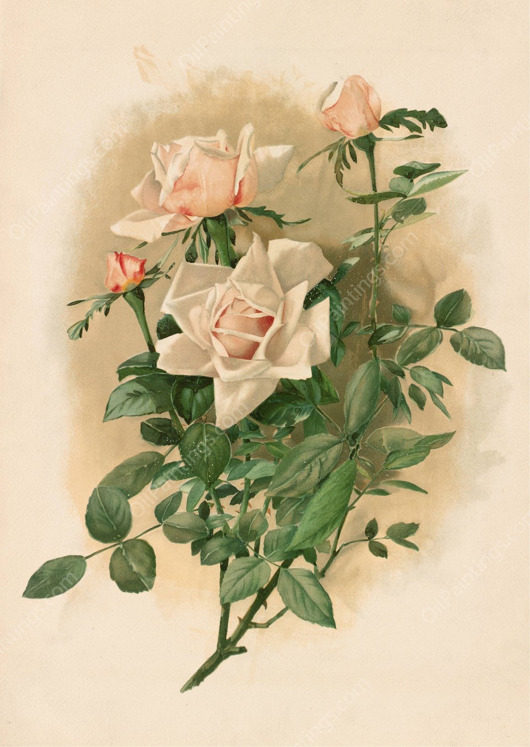 Duchesse de Vallombrosa Roses  by Thaddeus Welch - Hand-Painted Oil Painting Reproduction