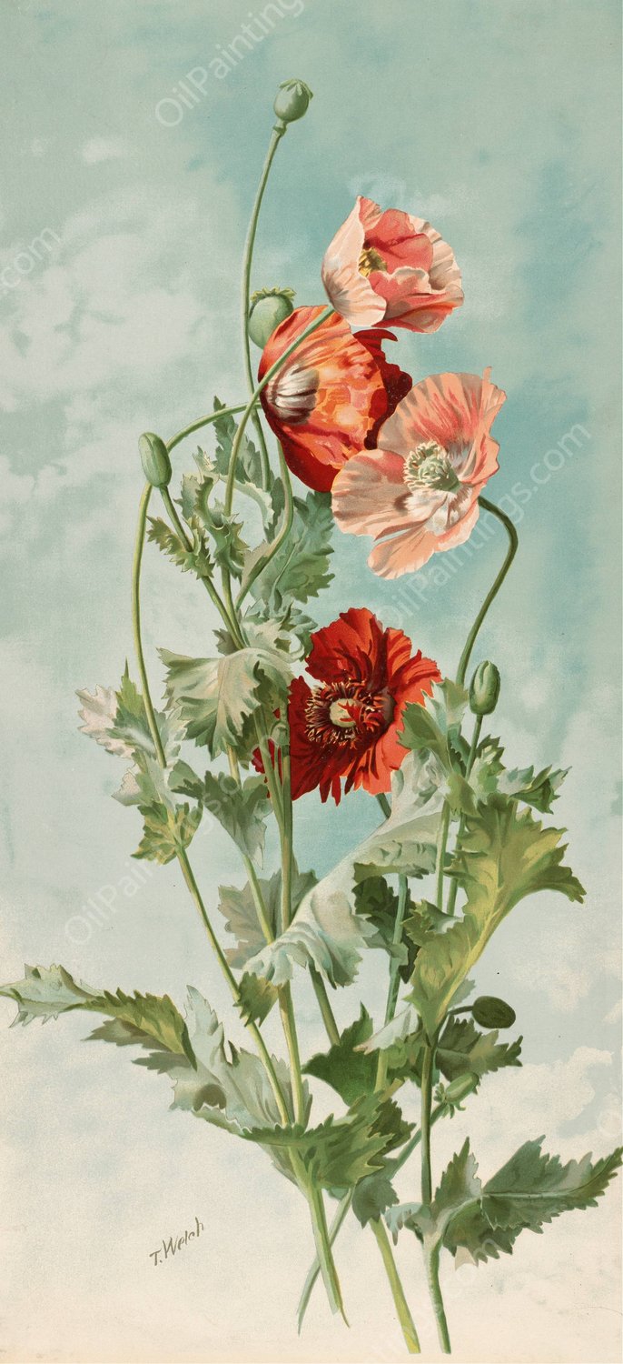 Poppies  by Thaddeus Welch - Hand-Painted Oil Painting Reproduction