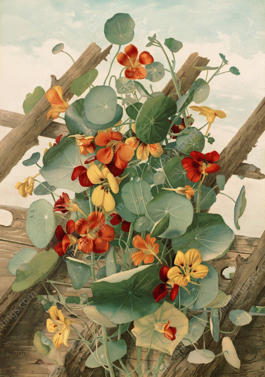 The Nasturtiums, No. 2  by Thaddeus Welch - Hand-Painted Oil Painting Reproduction