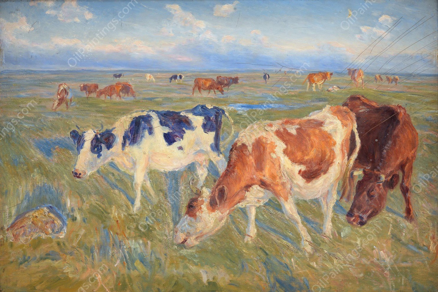 Grazing Cows on the Island of Saltholm  by Theodor Philipsen - Hand-Painted Oil Painting Reproduction