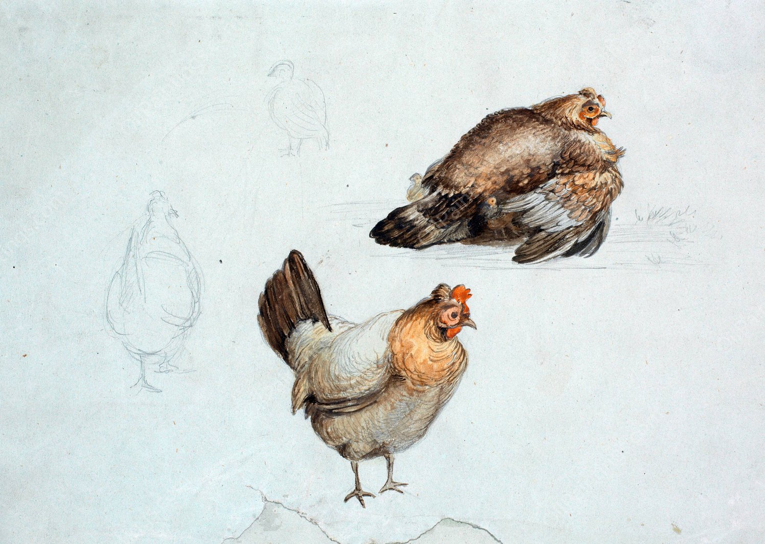 Hons. Studie  by Theodor Philipsen - Hand-Painted Oil Painting Reproduction