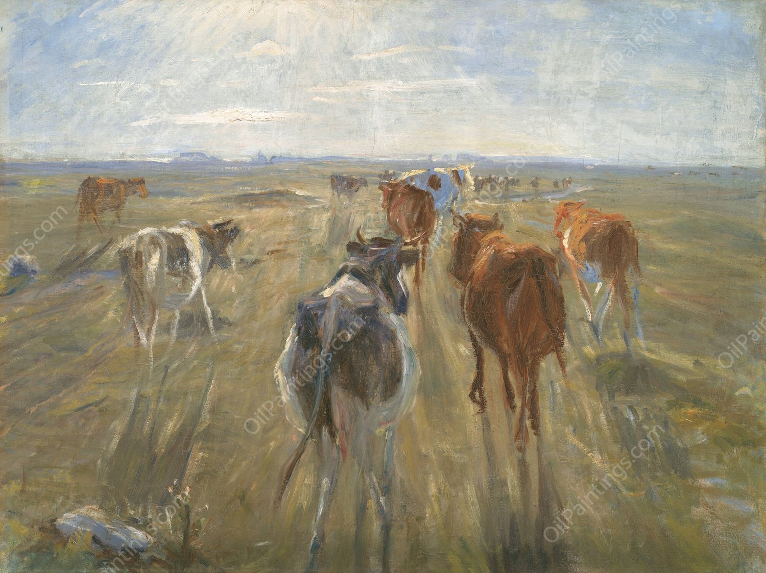 Long Shadows. Cattle on the Island of Saltholm  by Theodor Philipsen - Hand-Painted Oil Painting Reproduction