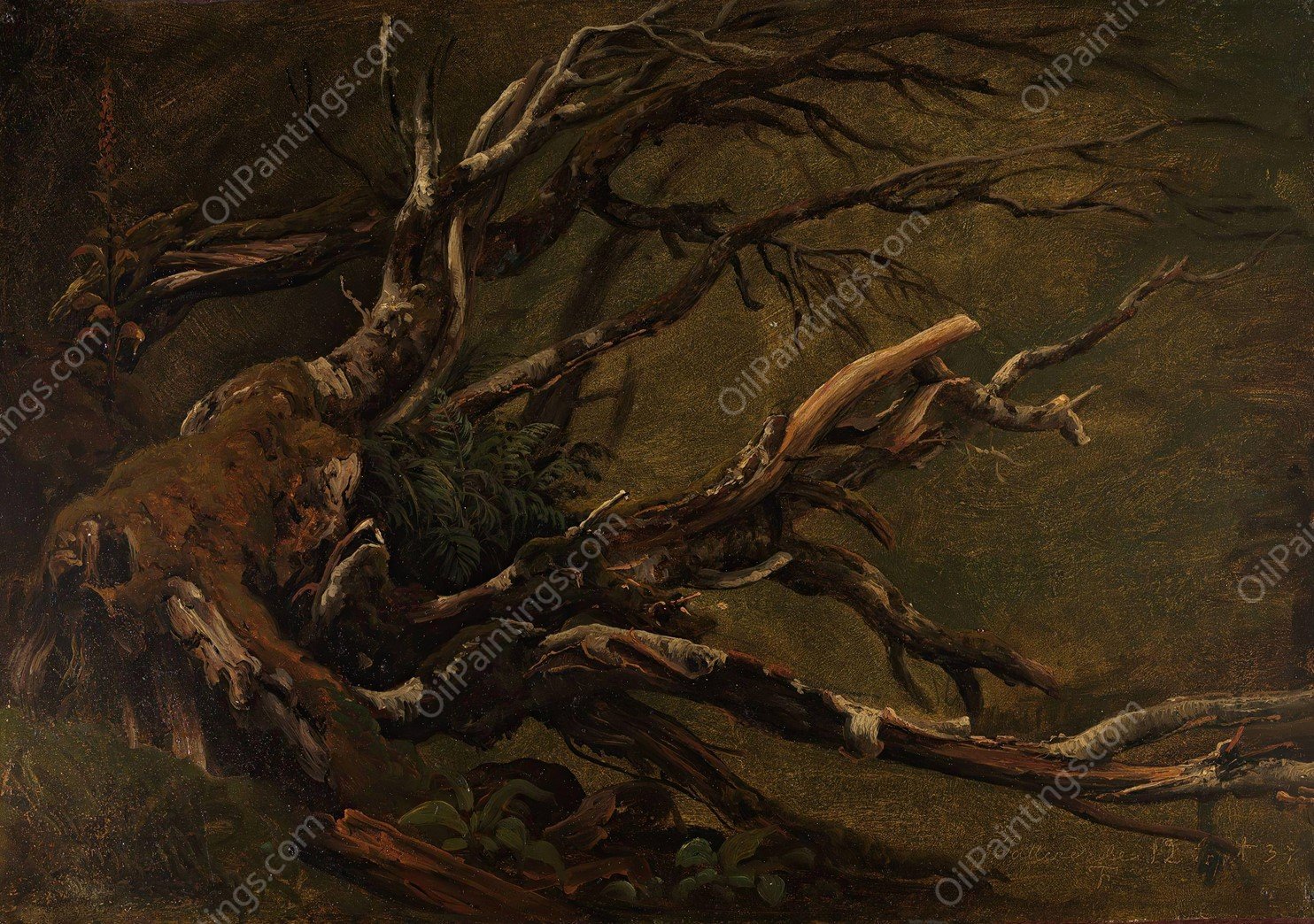 Study of decaying Tree  by Thomas Fearnley - Hand-Painted Oil Painting Reproduction