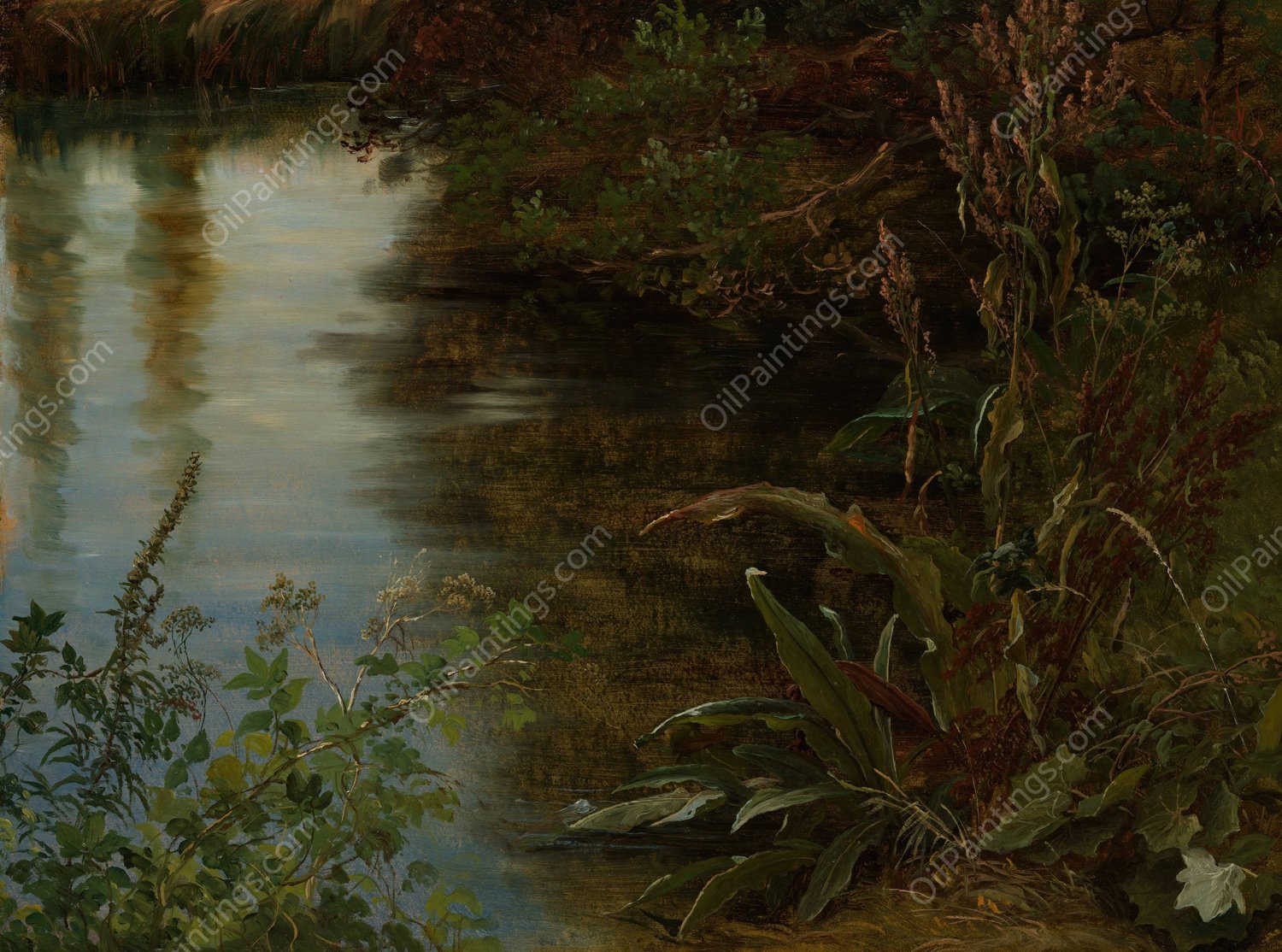 Study of Water and Plants  by Thomas Fearnley - Hand-Painted Oil Painting Reproduction