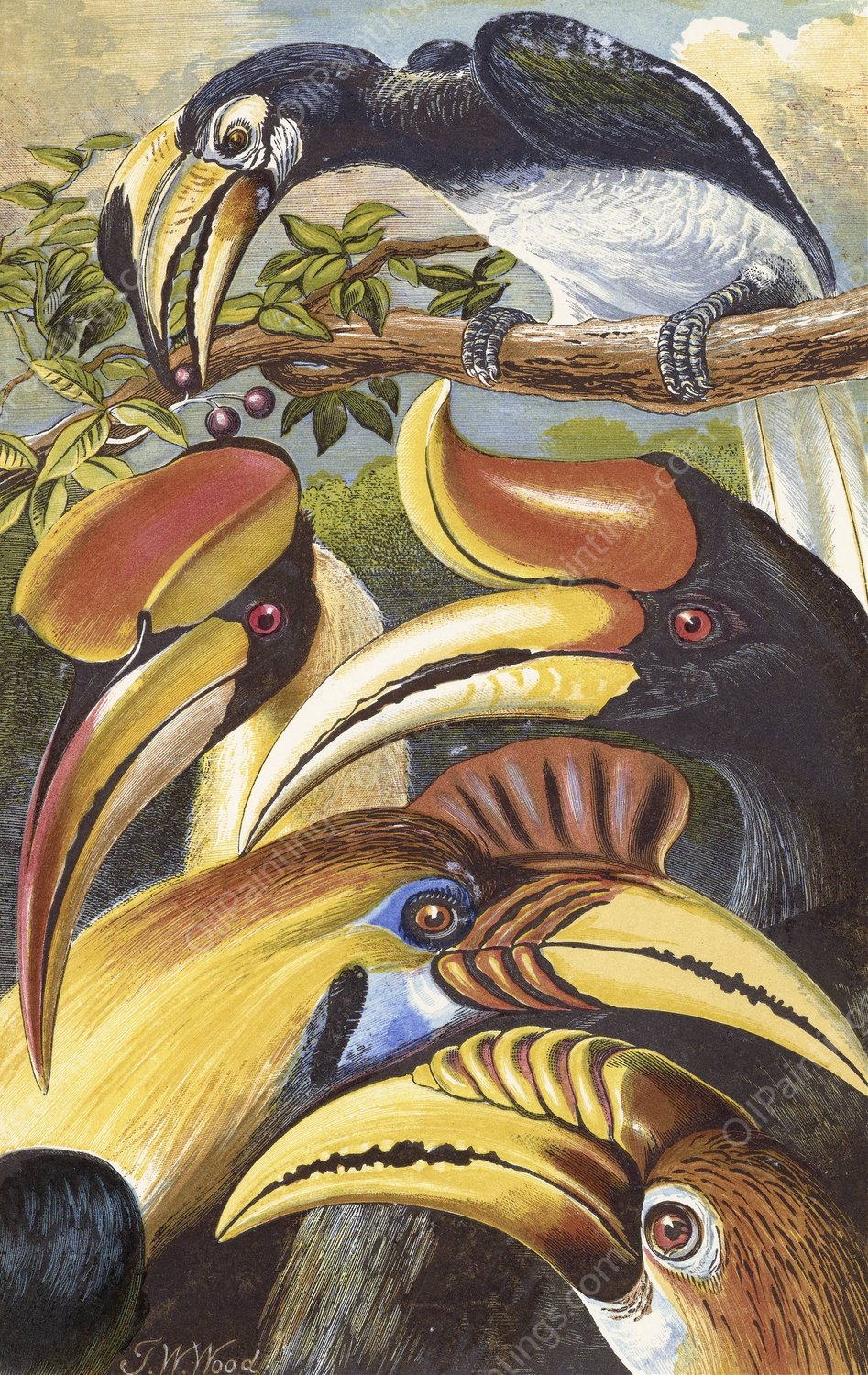 Hornbills  by Thomas Waterman Wood - Hand-Painted Oil Painting Reproduction