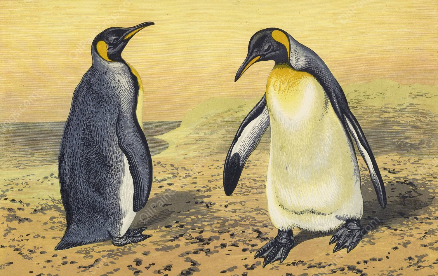 The King Penguin  by Thomas Waterman Wood - Hand-Painted Oil Painting Reproduction