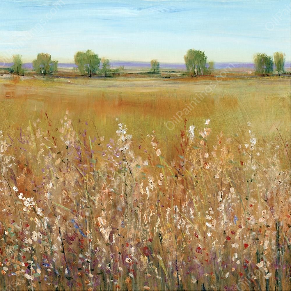 Abundance of Wildflowers I by Tim O'Toole - Hand-Painted Oil Painting Reproduction