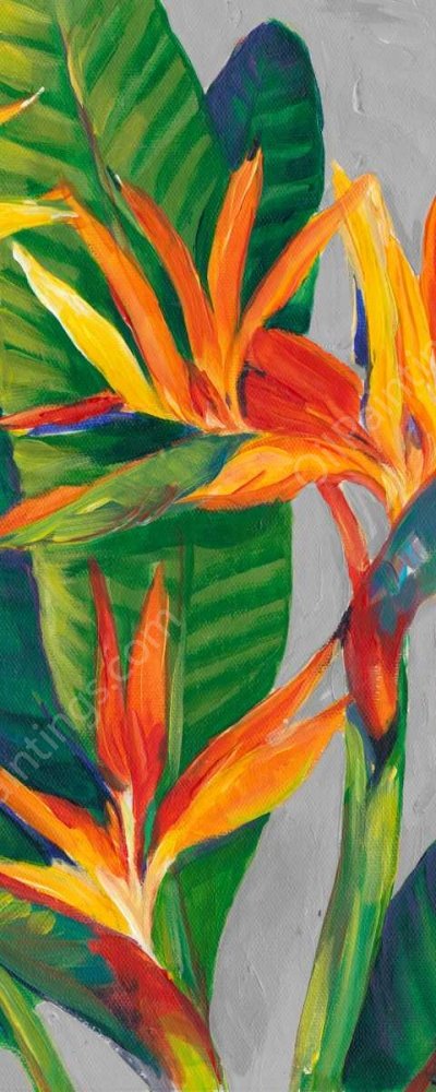 Bird of Paradise Triptych II by Tim O'Toole - Hand-Painted Oil Painting Reproduction