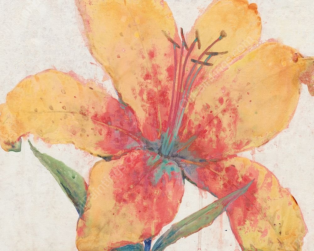 Blooming Lily by Tim O'Toole - Hand-Painted Oil Painting Reproduction