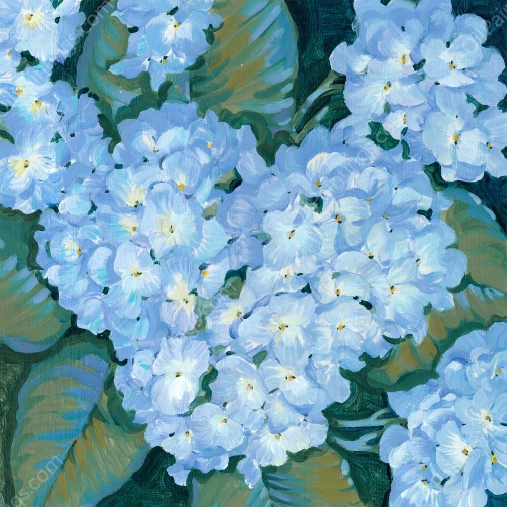 Blue Hydrangeas II by Tim O'Toole - Hand-Painted Oil Painting Reproduction