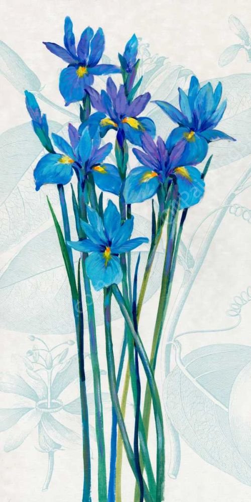 Blue Iris Panel I by Tim O'Toole - Hand-Painted Oil Painting Reproduction