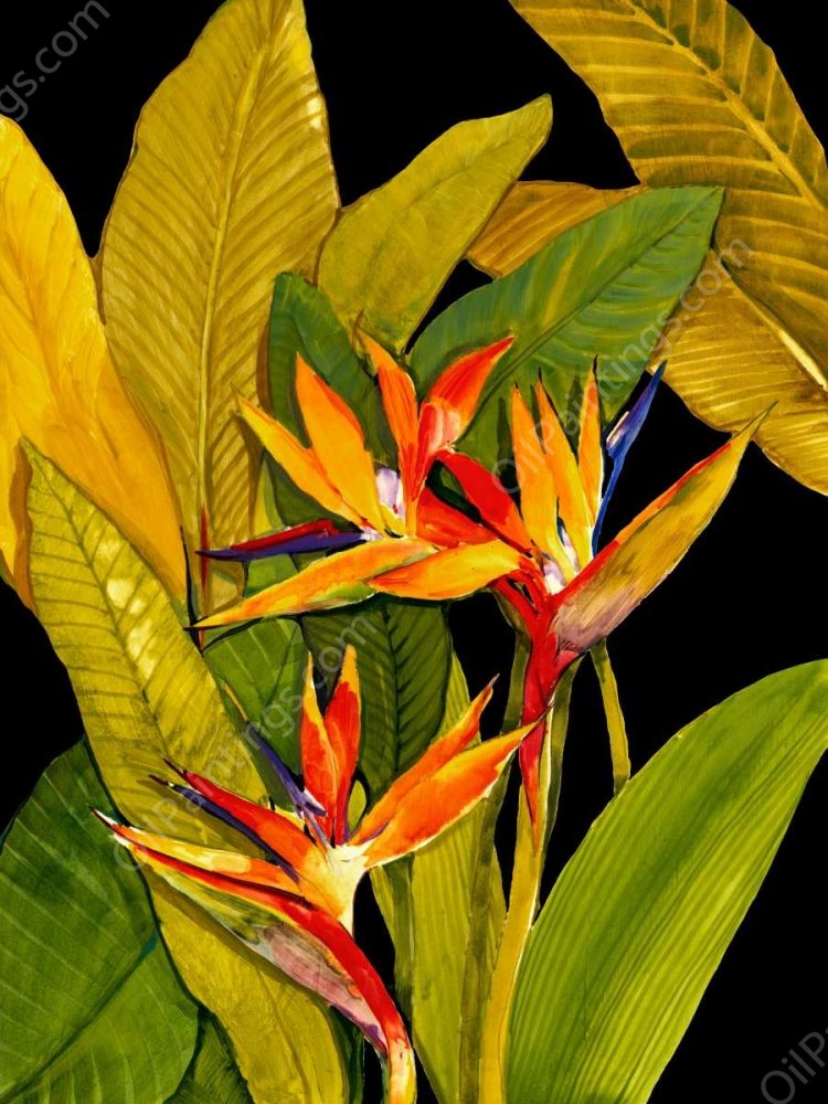 Dramatic Bird of Paradise by Tim O'Toole - Hand-Painted Oil Painting Reproduction