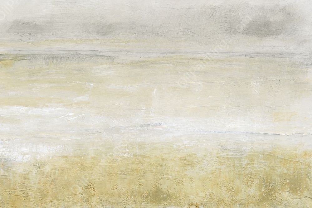 Embellished Squall I by Tim O'Toole - Hand-Painted Oil Painting Reproduction