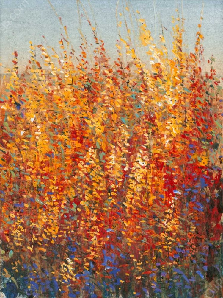 High Desert Blossoms I by Tim O'Toole - Hand-Painted Oil Painting Reproduction