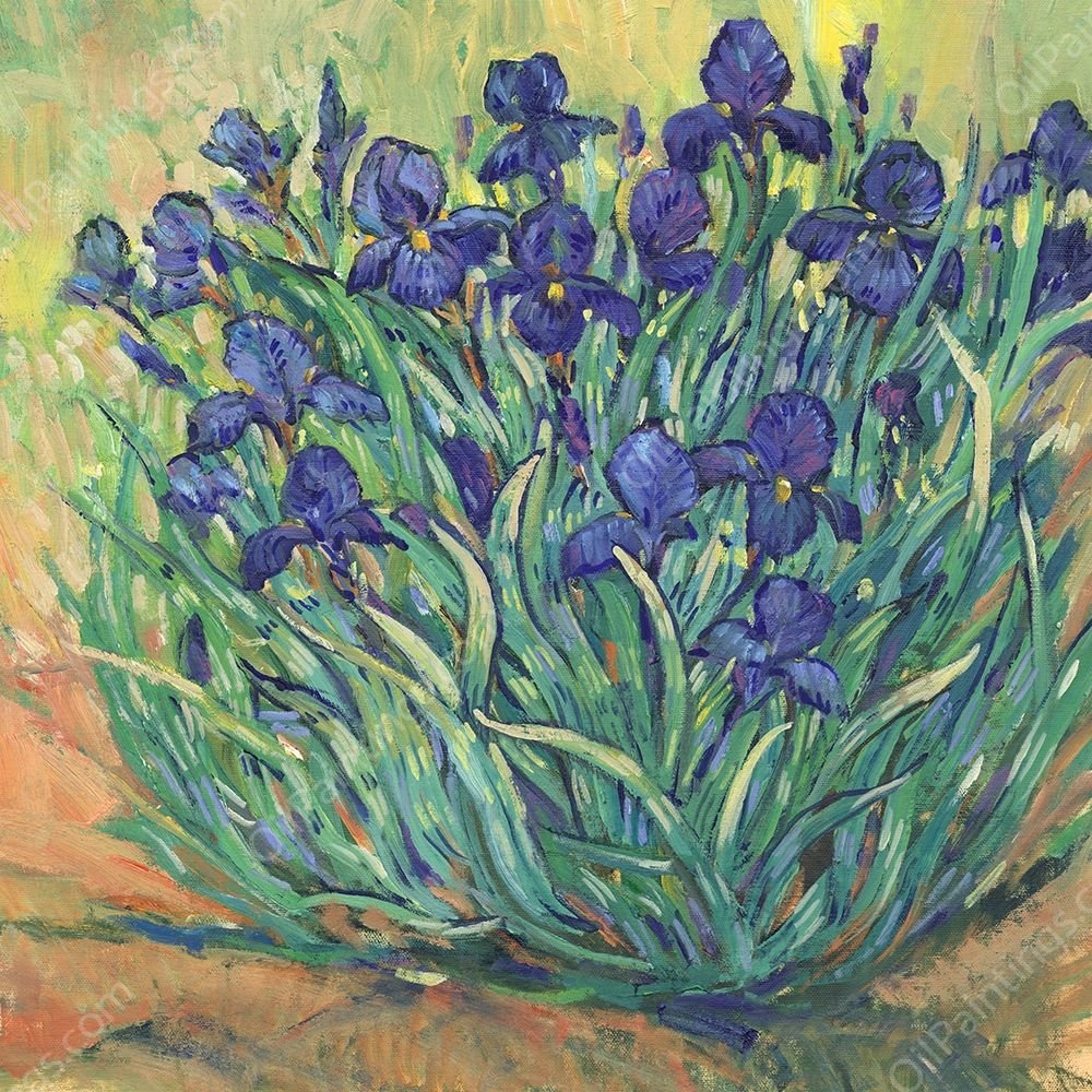 Irises in Bloom I by Tim O'Toole - Hand-Painted Oil Painting Reproduction