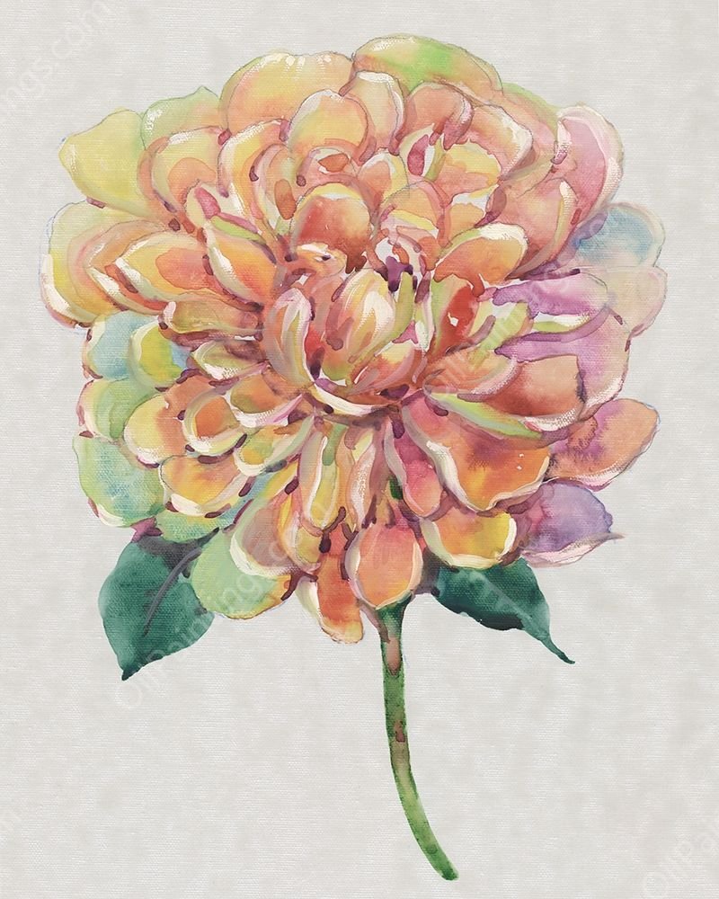 Multicolor Floral I by Tim O'Toole - Hand-Painted Oil Painting Reproduction