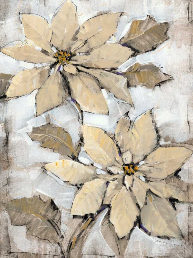 Poinsettia Study II by Tim O'Toole - Hand-Painted Oil Painting Reproduction