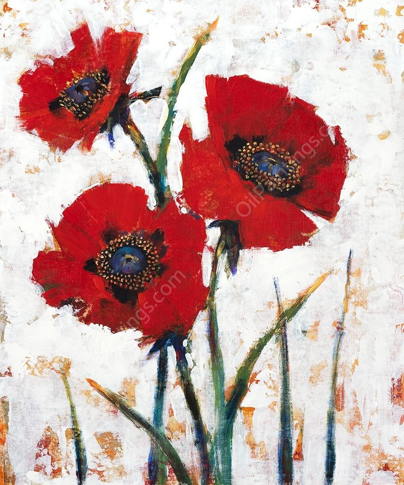 Red Poppy Fresco I by Tim O'Toole - Hand-Painted Oil Painting Reproduction