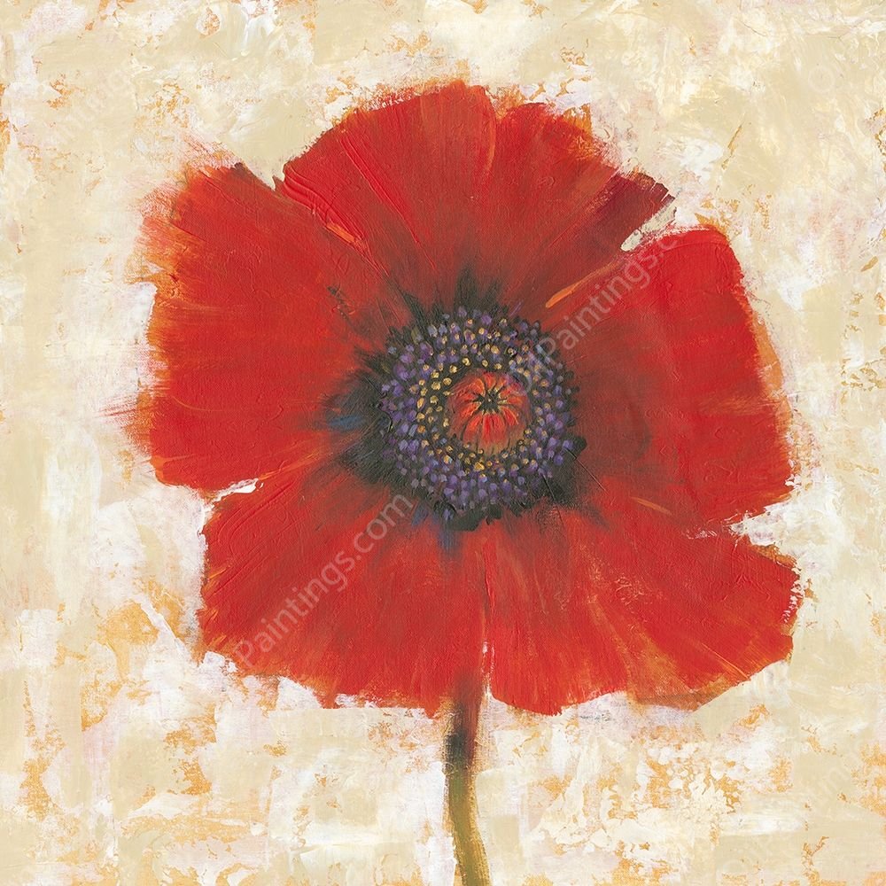 Red Poppy Portrait II by Tim O'Toole - Hand-Painted Oil Painting Reproduction