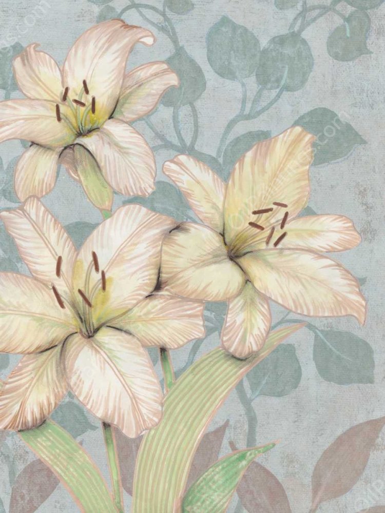 Trois Fleurs I by Tim O'Toole - Hand-Painted Oil Painting Reproduction