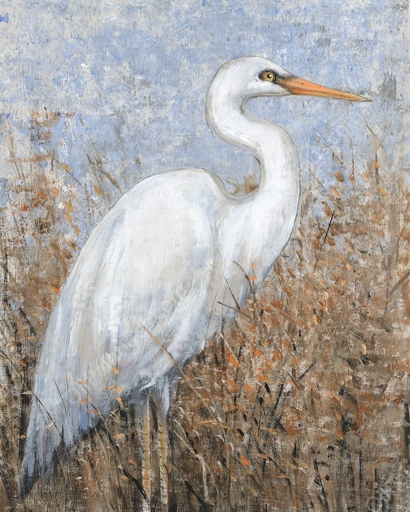 White Heron I by Tim O'Toole - Hand-Painted Oil Painting Reproduction