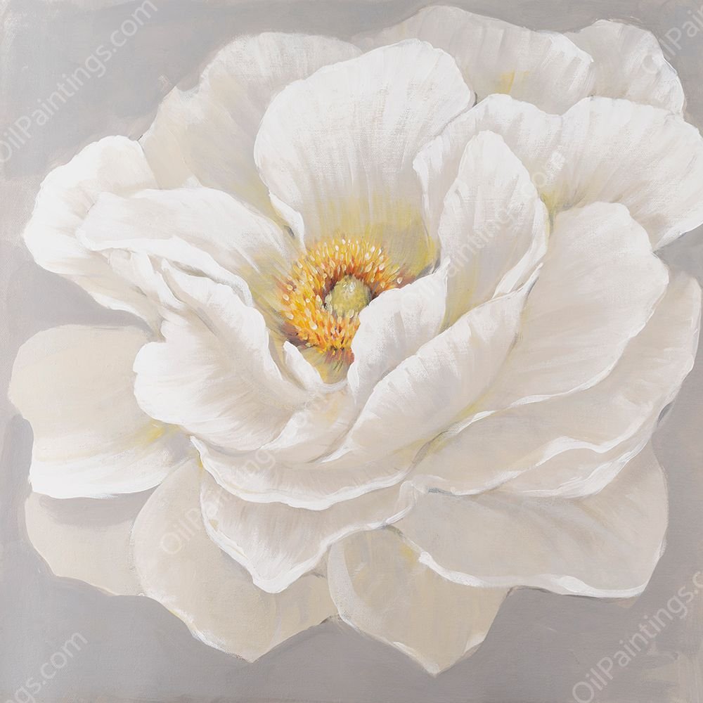 White Peony I by Tim O'Toole - Hand-Painted Oil Painting Reproduction