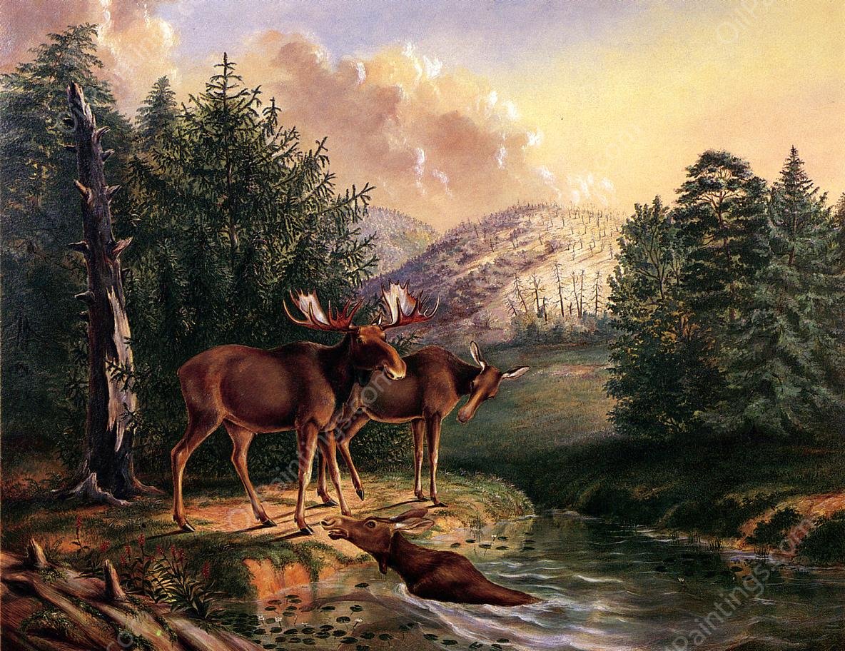 Moose in Maine by Titian Ramsey Peale II - Hand-Painted Oil Painting Reproduction