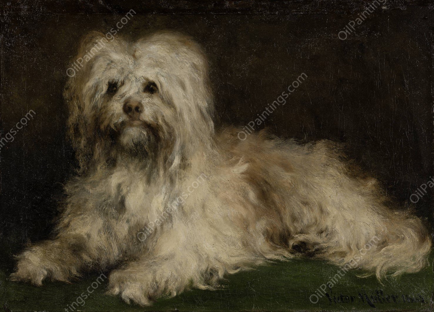 Pinscher Puss  by Victor Muller - Hand-Painted Oil Painting Reproduction