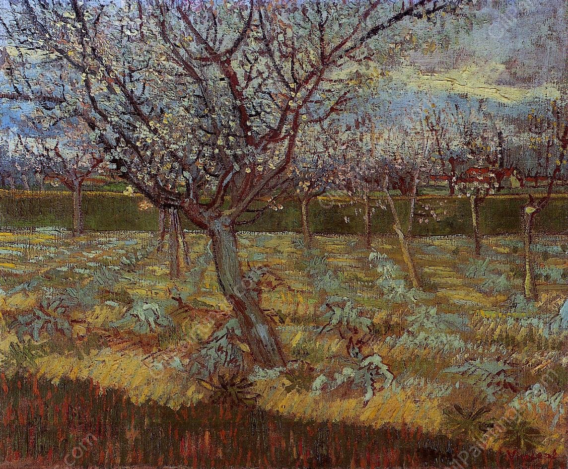 Apricot Tree in Bloom by Vincent van Gogh - Hand-Painted Oil Painting Reproduction