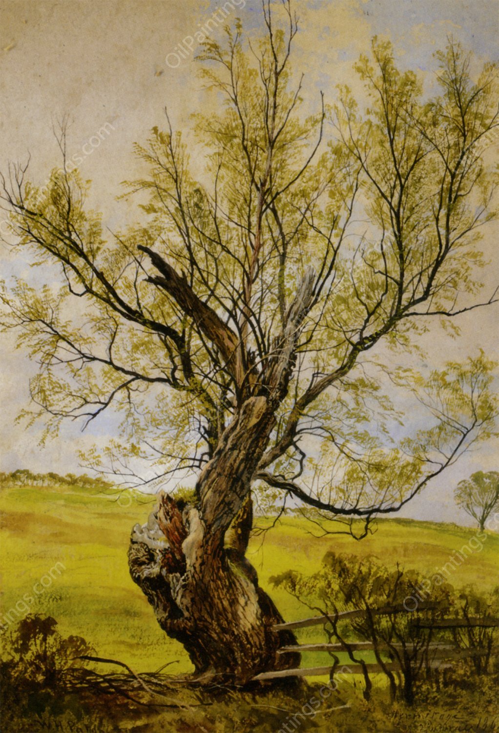 An Ancient Willow by Waller Hugh Paton - Hand-Painted Oil Painting Reproduction