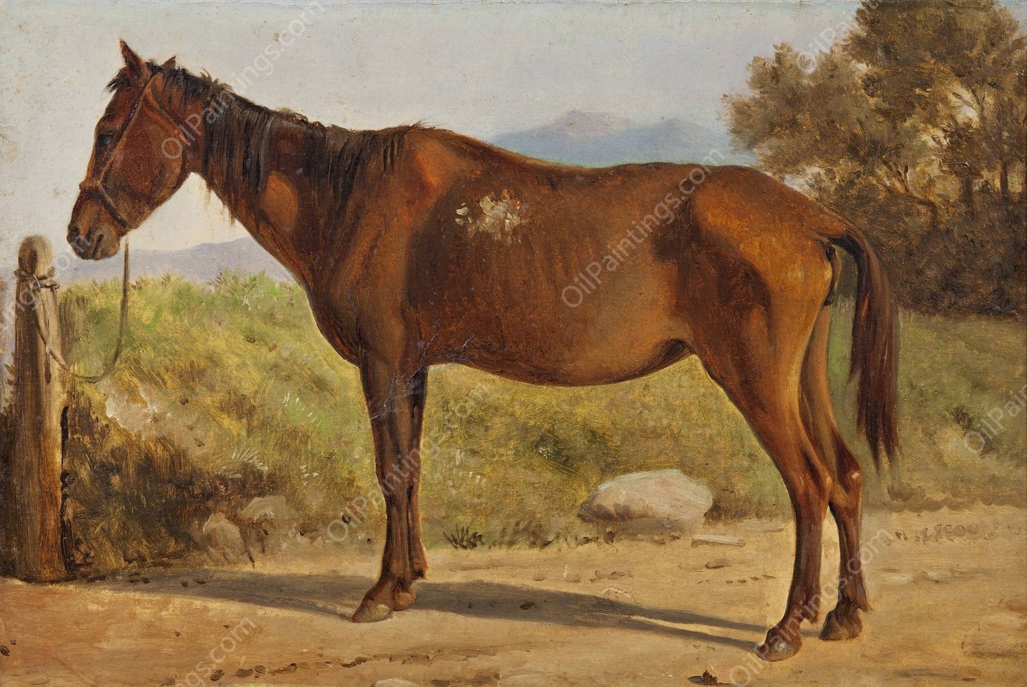 Rosinante  by Wilhelm Marstrand - Hand-Painted Oil Painting Reproduction