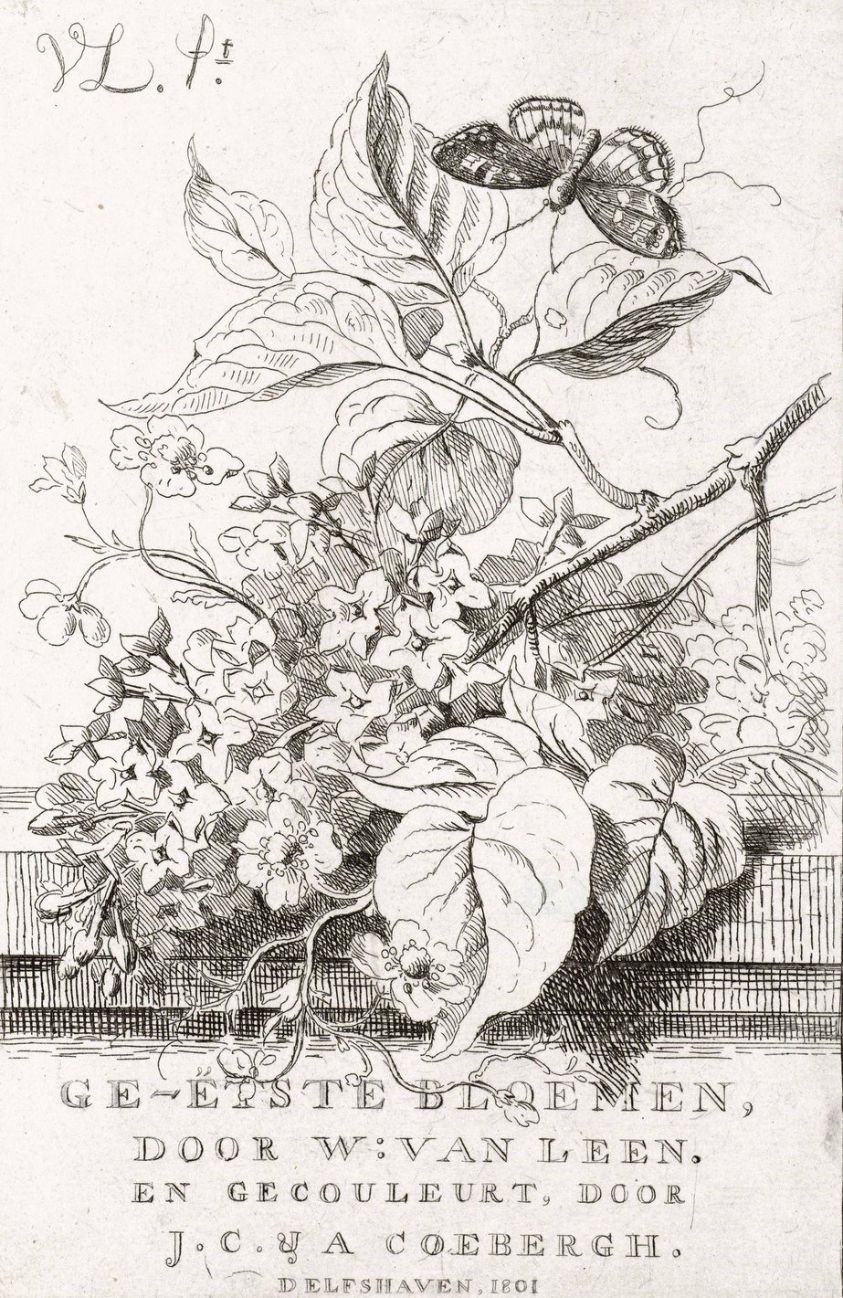 Bloemenstudie met vlinder  by Willem Van Leen - Hand-Painted Oil Painting Reproduction