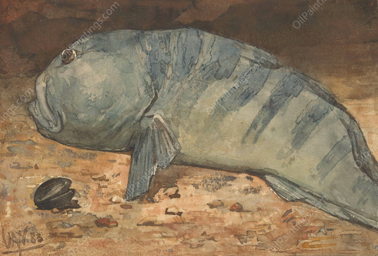 Side View of a Fish  by Willem Witsen - Hand-Painted Oil Painting Reproduction