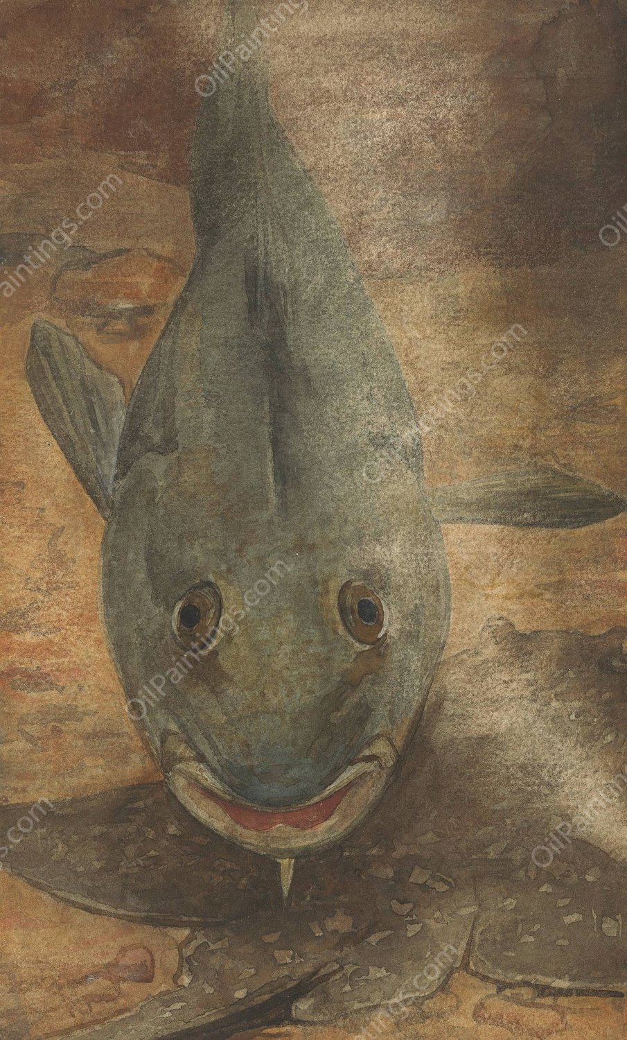 Vis van voren gezien  by Willem Witsen - Hand-Painted Oil Painting Reproduction