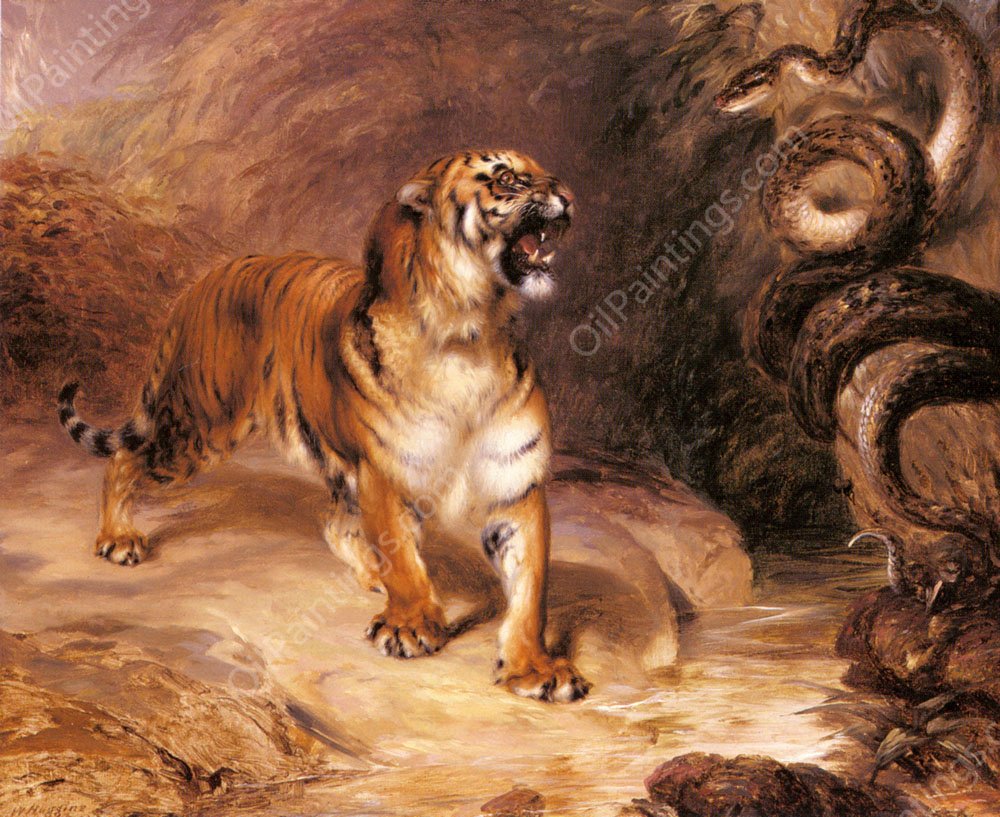 A Tiger and a Serpent by William Huggins - Hand-Painted Oil Painting Reproduction